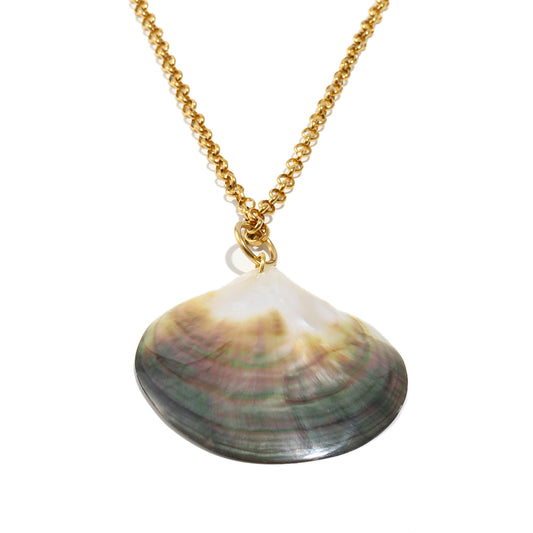 Halley's Shell Pendant