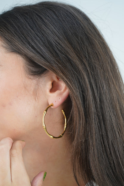 Clementine's Gold Hoops