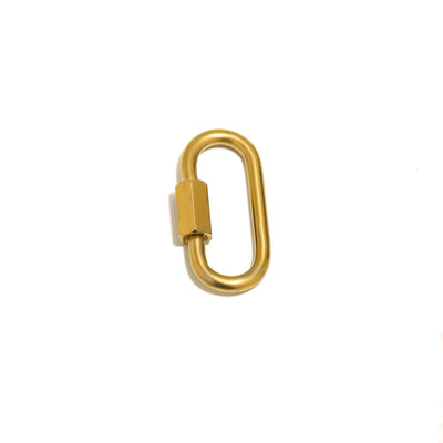 Gold Carabiner Charm