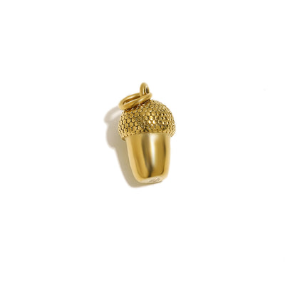 Golden Acorn Charm