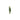 Green Fish Charm