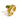 Paloma's Green Ring Gold 3