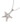Pim's Starfish Necklace Silver White