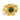 Riya's Flower Ring Gold Green